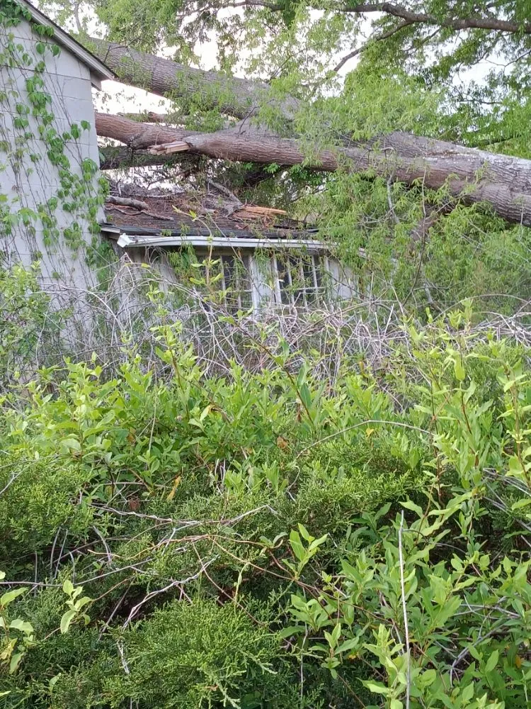 Professional garden landscaping in Danville, VA - Lakisha's Tree And Lawn Care