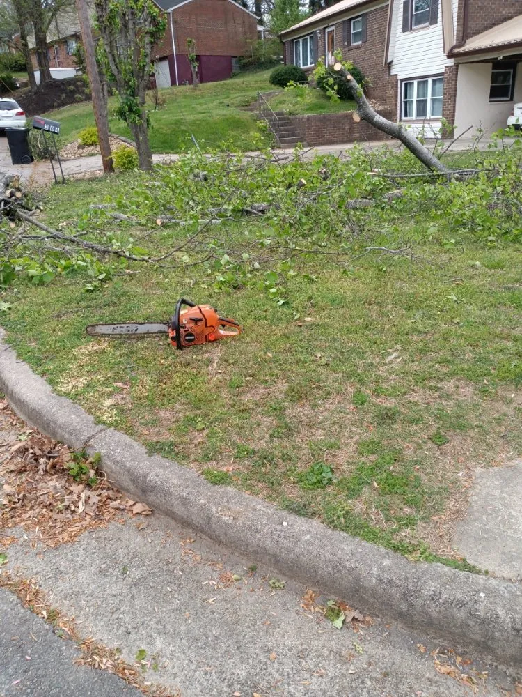 Expert landscape installation in Danville, VA by Lakisha's Tree And Lawn Care