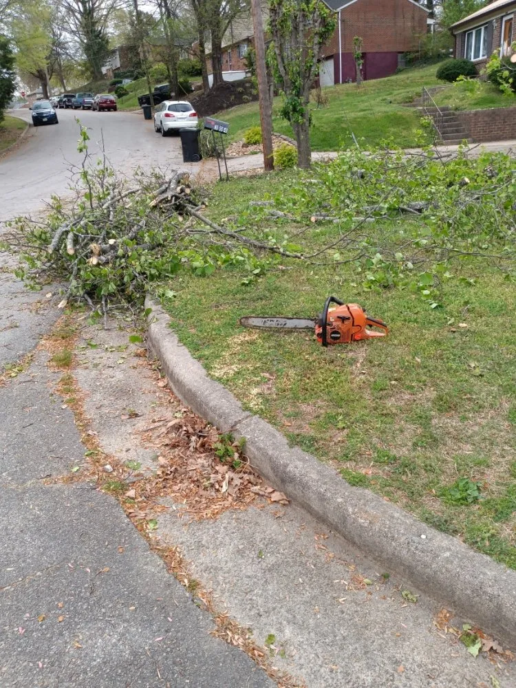 Expert residential landscaping near you in Danville, VA by Lakisha's Tree And Lawn Care