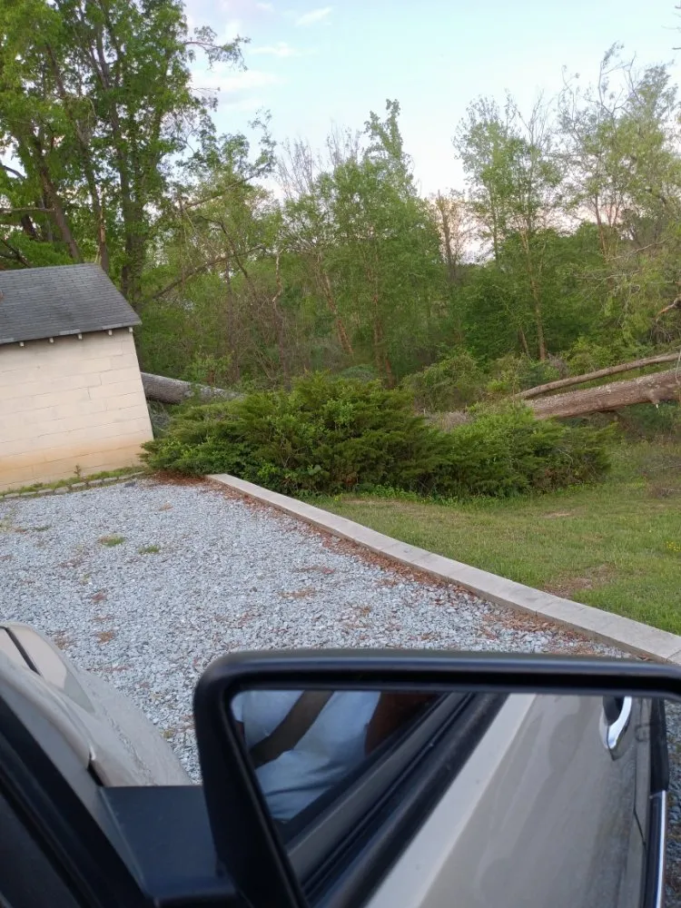 Expert yard cleanup service in Danville, VA by Lakisha's Tree And Lawn Care