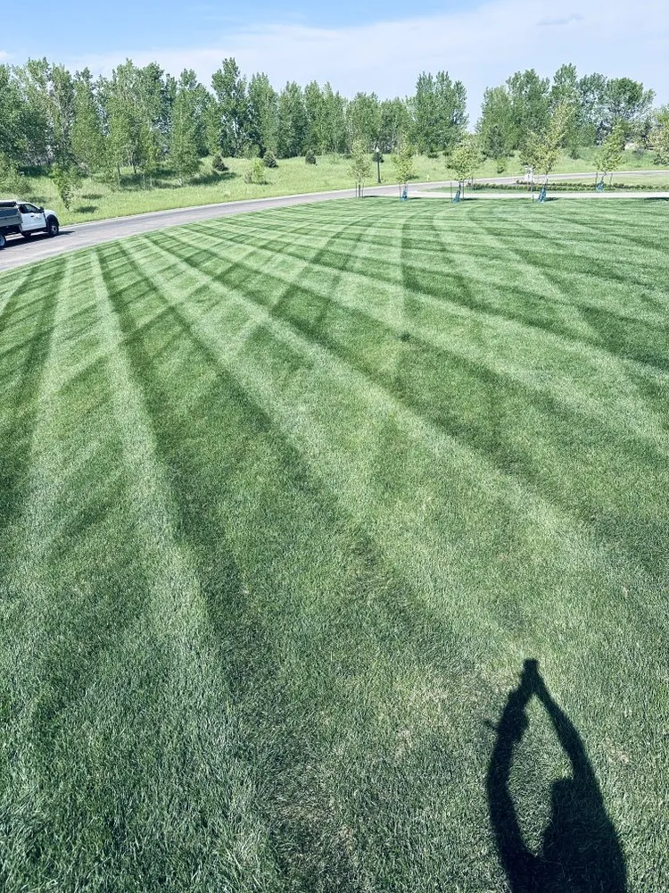 Affordable landscape installation for outdoor upgrades across Sioux Falls, SD - Lakota Lawns