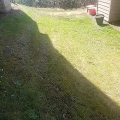 Reliable lawn mowing service in Renton, WA by LAL Lawn Care Services