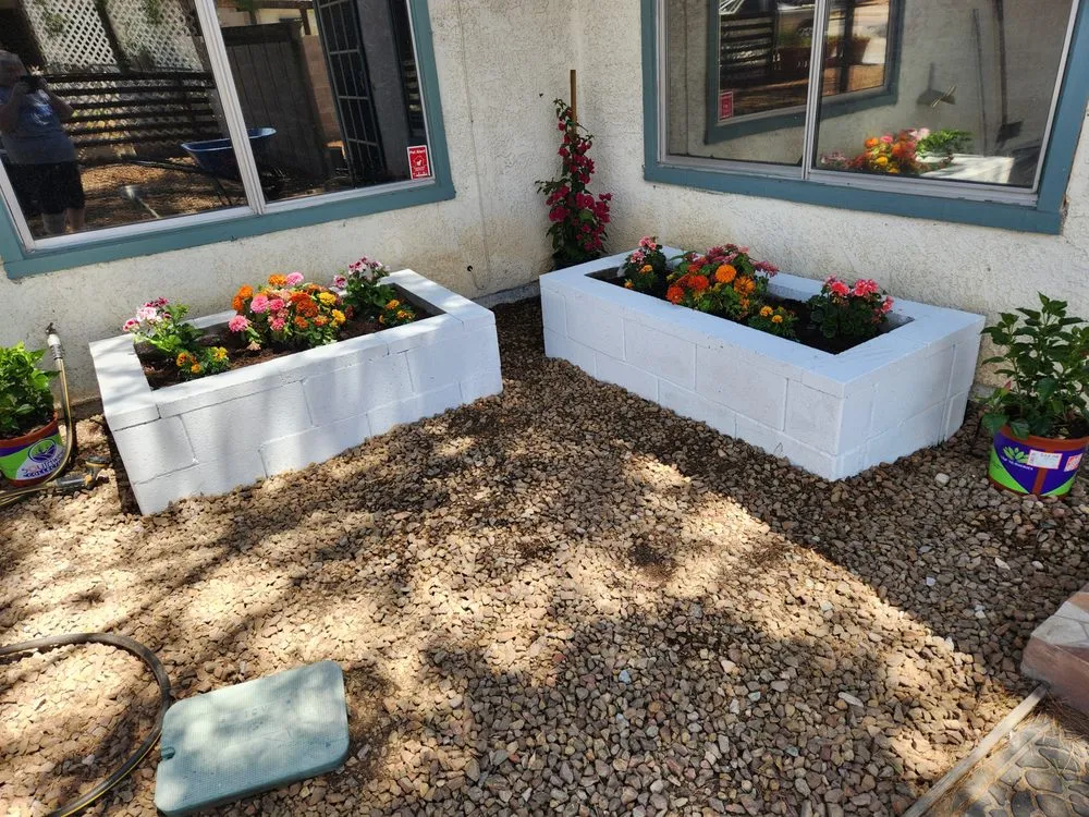 Reliable yard cleanup service experts serving Henderson, NV - Laloma Landscape