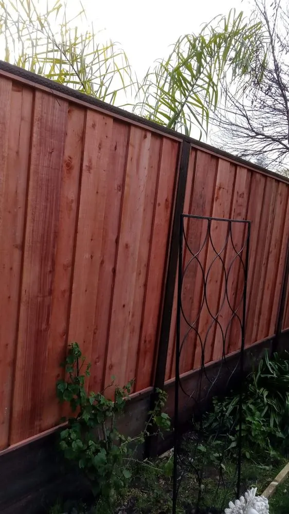 Custom yard cleanup service in Antioch, CA by Lalos General Landscaping