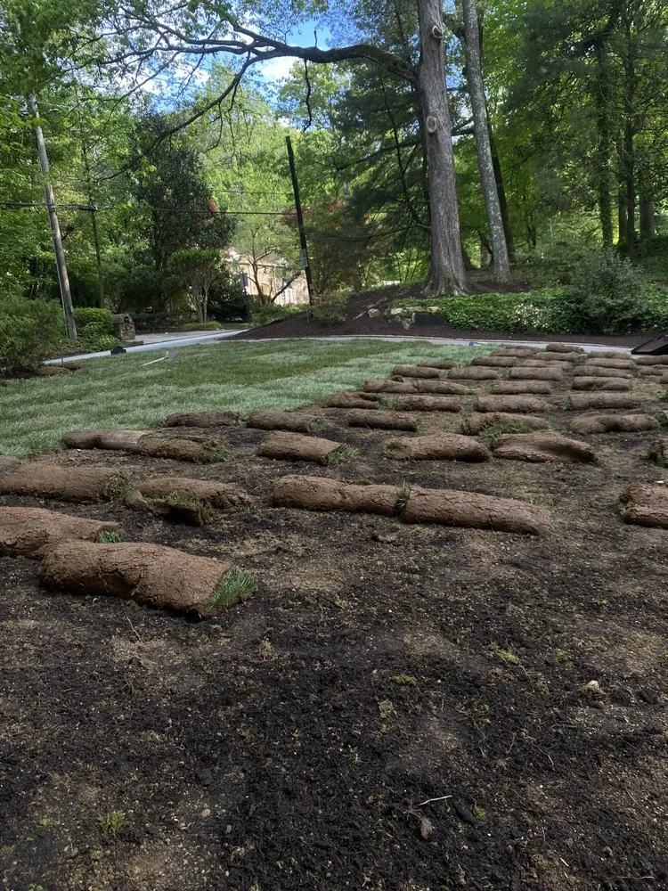 Affordable landscape design for year-round maintenance across Austell, GA - Lalo's Landscape