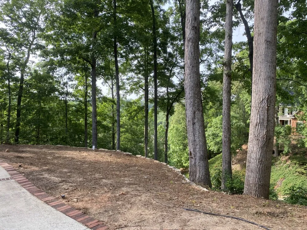 Custom yard maintenance in Austell, GA by Lalo's Landscape