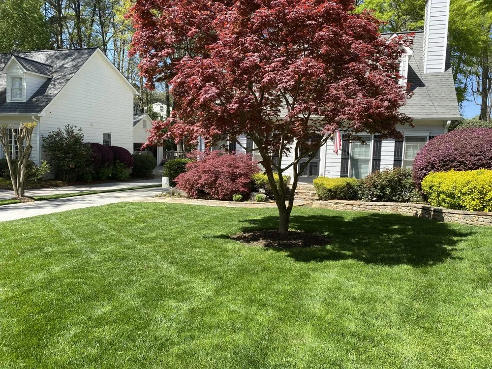 Custom yard maintenance experts serving Austell, GA - Lalo's Landscape