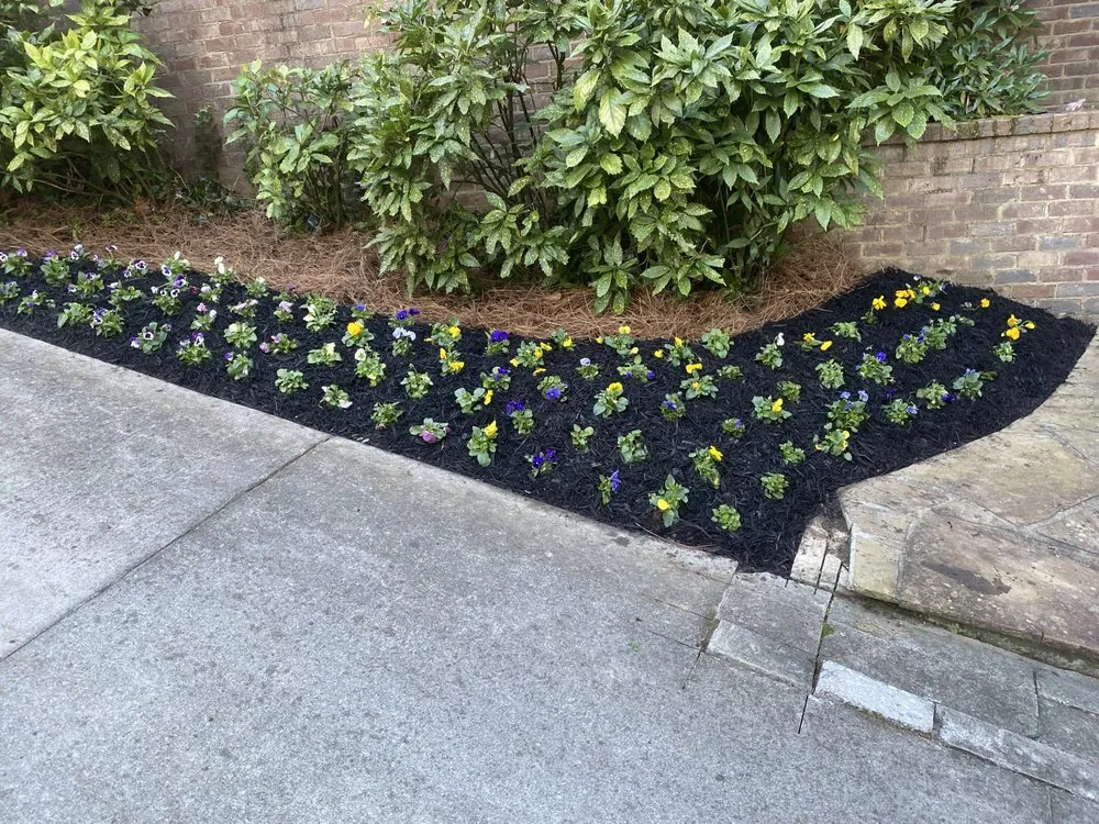 Top-rated outdoor landscaping experts serving Austell, GA - Lalo's Landscape