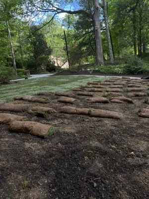 Lalo's Landscape Logo