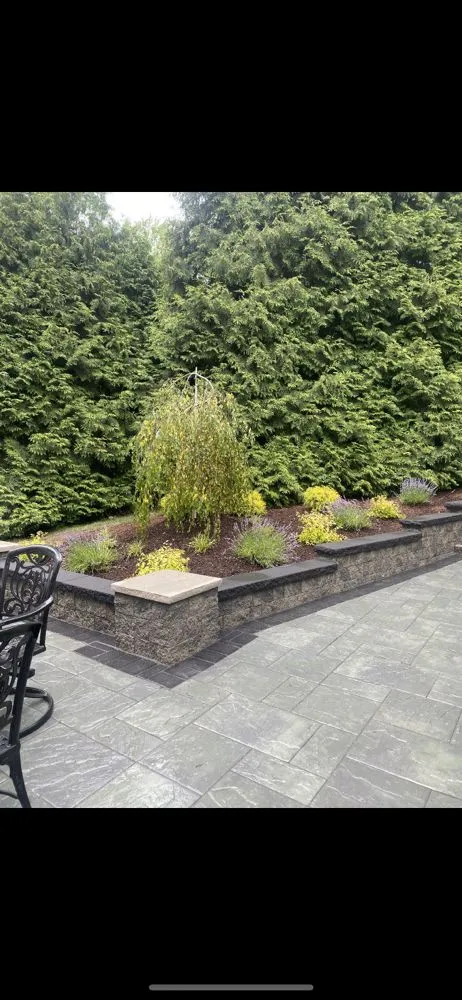 Professional yard cleanup service for outdoor upgrades across Orange, NJ - Lalvay & Sons