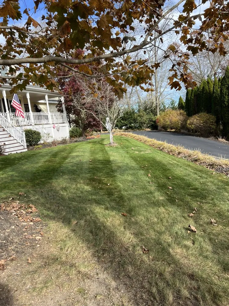Custom yard cleanup service experts serving Swansea, MA - Lam Landscaping