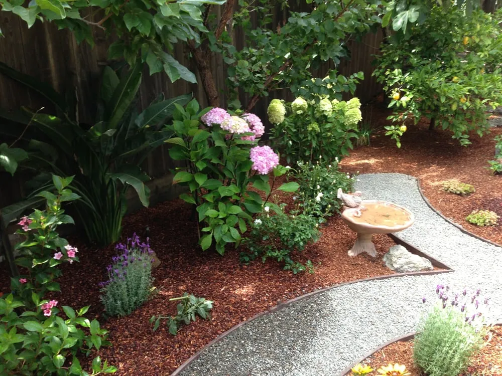 Reliable lawn mowing service in Albany, CA - Lama Gardening Service