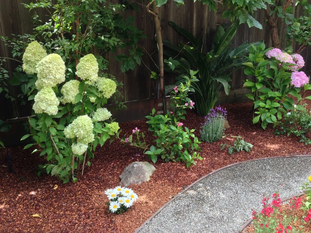 Local lawn care service in Albany, CA - Lama Gardening Service
