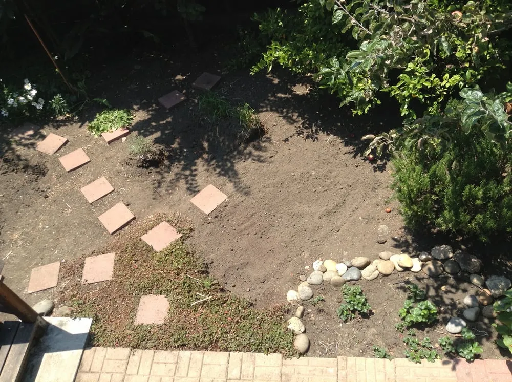 Affordable lawn mowing service in Albany, CA - Lama Gardening Service