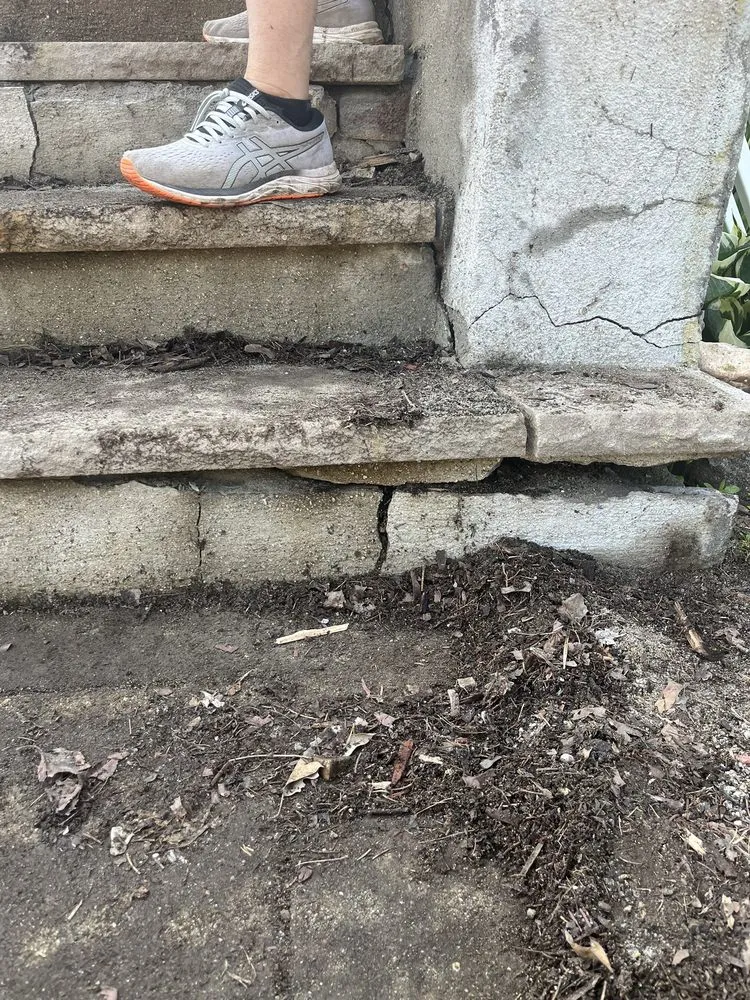 Expert landscape design experts serving Newton, MA - Lamacchia Landscape Construction