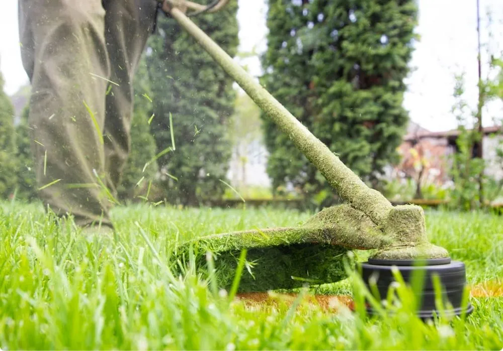 Trusted garden landscaping in Talbotton, GA by Lamar Land Management