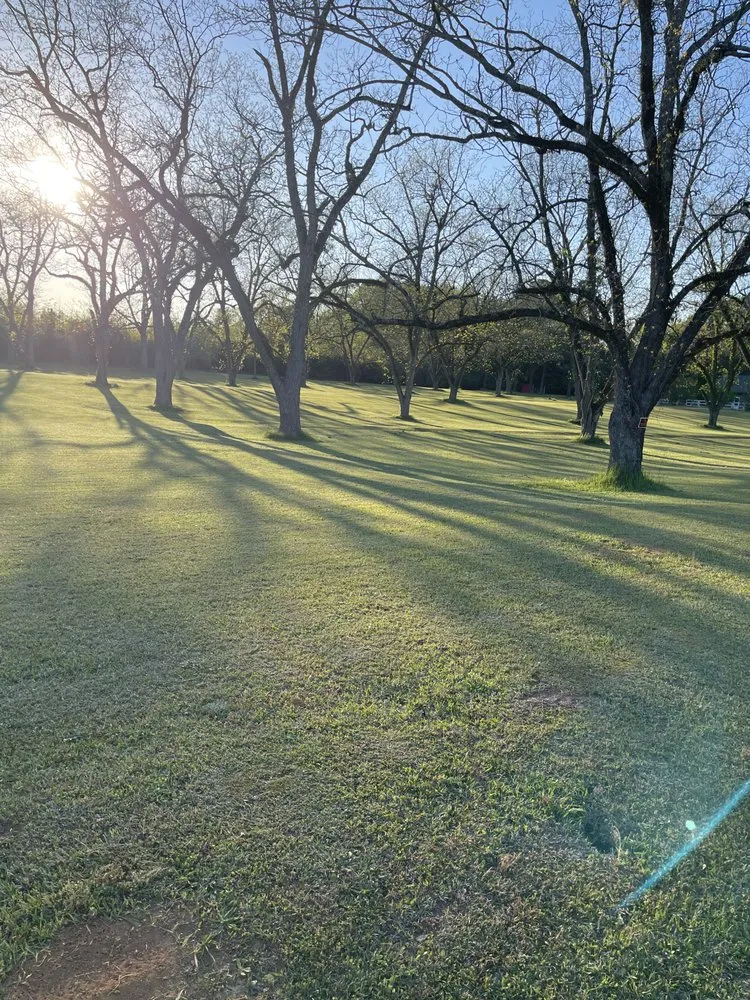 Trusted landscape installation for homes across Talbotton, GA - Lamar Land Management