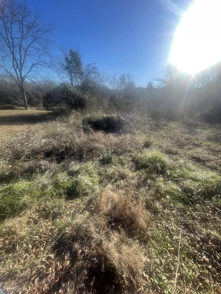 Expert landscape design in Talbotton, GA - Lamar Land Management