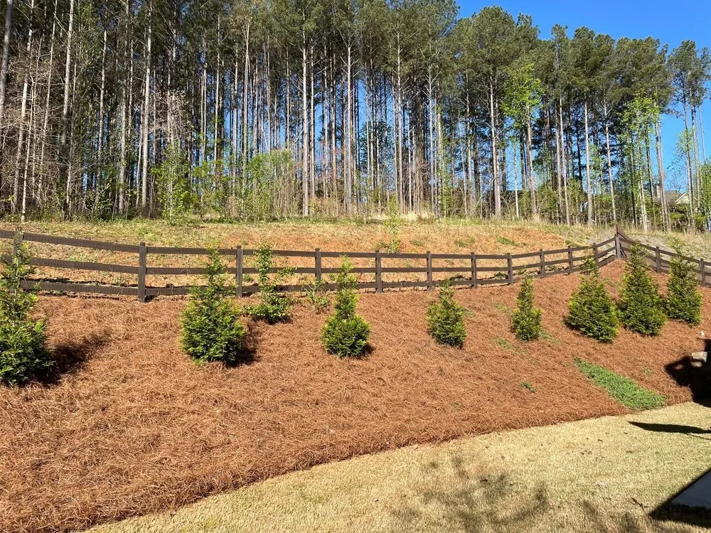 Top-rated lawn mowing service experts serving Powder Springs, GA - Lamar Landscape Solutions