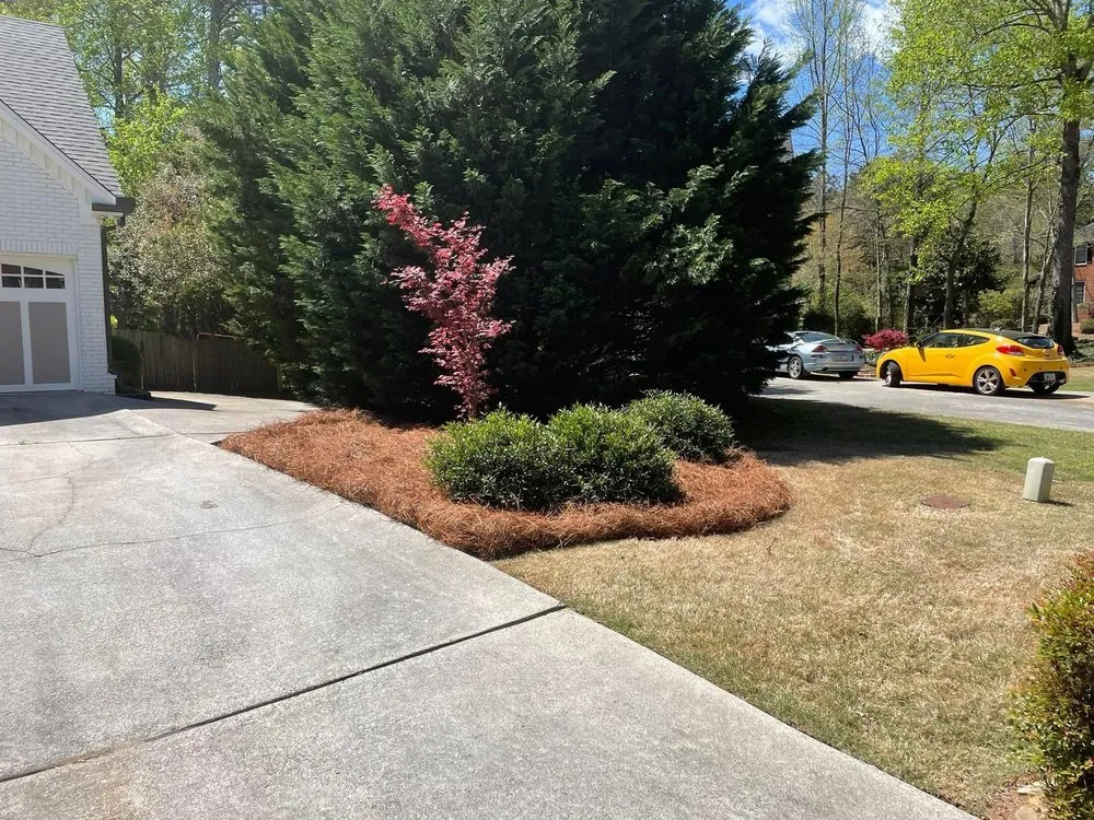 Expert landscape installation in Powder Springs, GA by Lamar Landscape Solutions