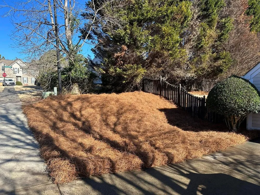 Custom landscaping services in Powder Springs, GA - Lamar Landscape Solutions