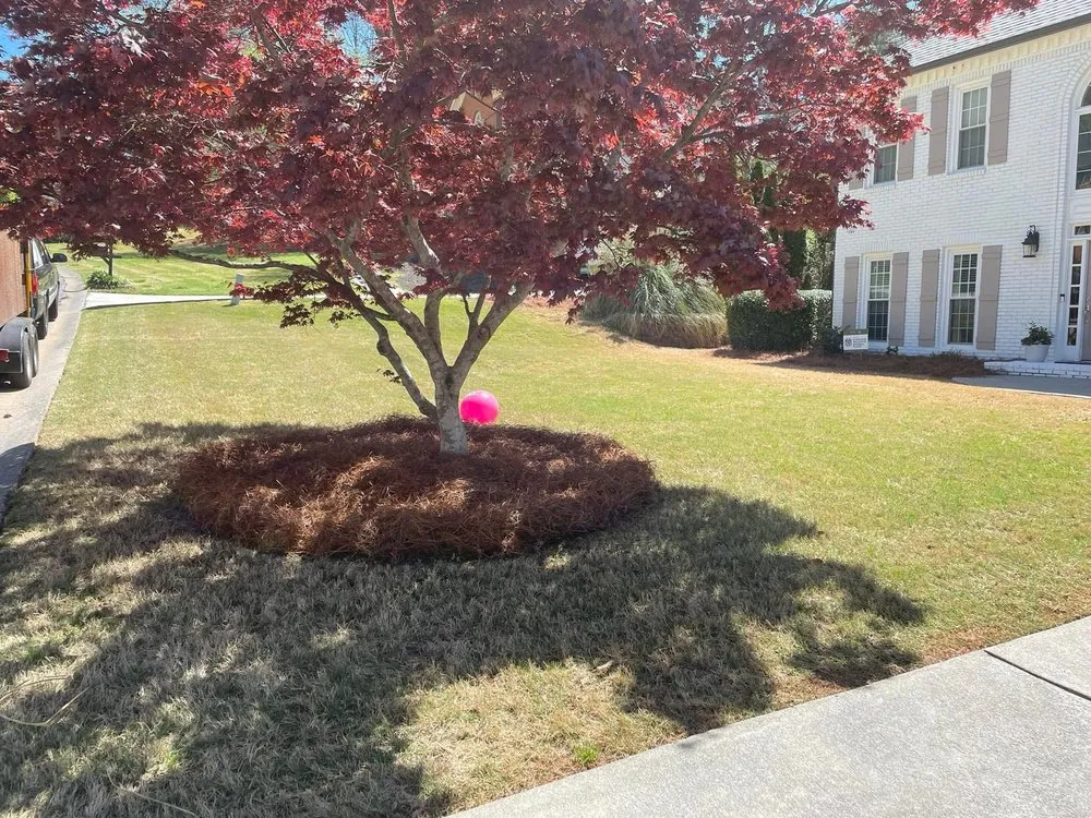 Reliable landscape design experts serving Powder Springs, GA - Lamar Landscape Solutions