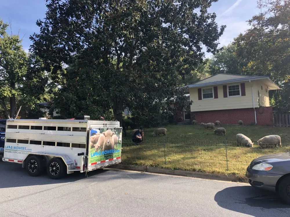 Professional yard maintenance experts serving Fairfax, VA - Lamb Mowers