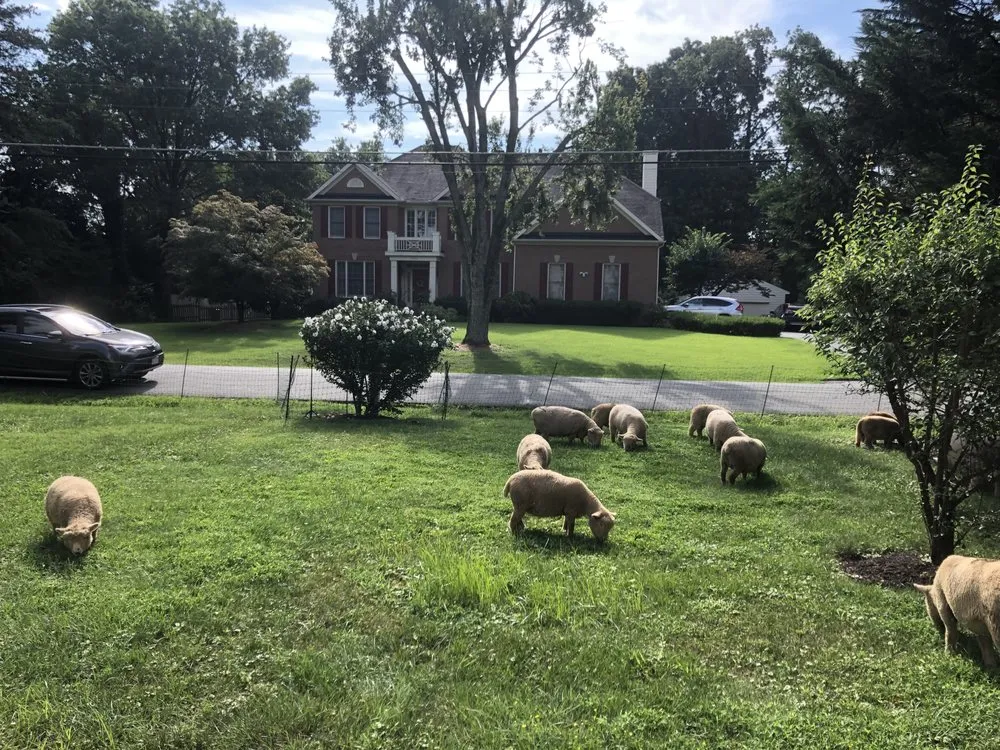 Trusted landscape design in Fairfax, VA by Lamb Mowers