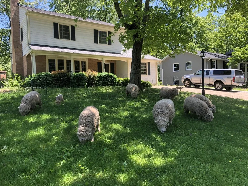 Top-rated yard cleanup service for year-round maintenance across Fairfax, VA - Lamb Mowers