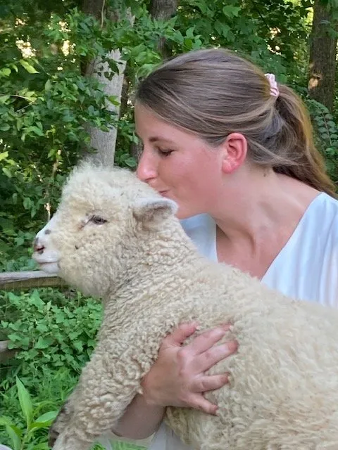 Expert landscaping services for outdoor upgrades across Fairfax, VA - Lamb Mowers