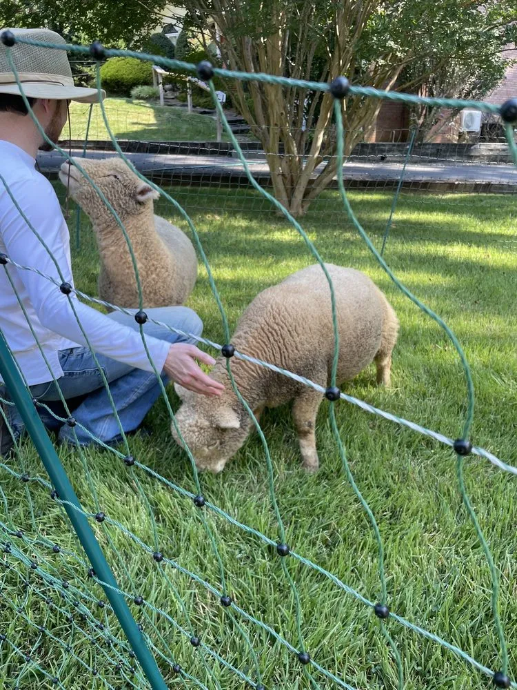 Top-rated landscape design near you across Fairfax, VA - Lamb Mowers