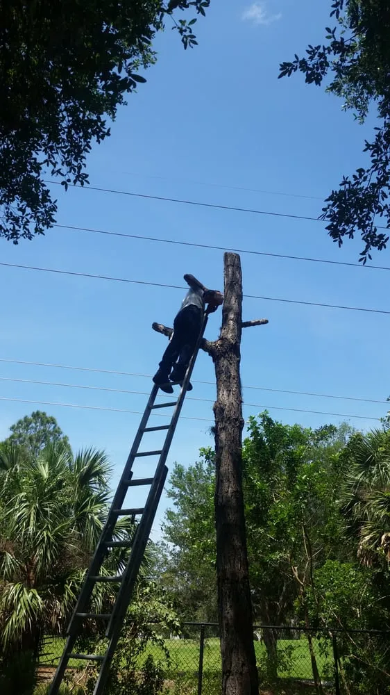 Trusted yard maintenance in Venice, FL by Lambar Landscape and Lawn Service LLC