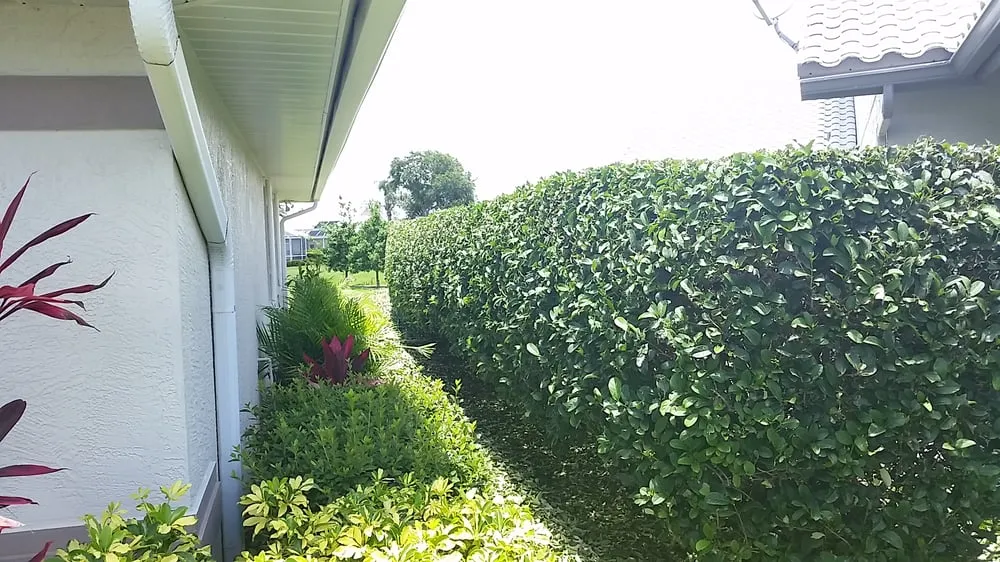 Local outdoor landscaping near you across Venice, FL - Lambar Landscape and Lawn Service LLC