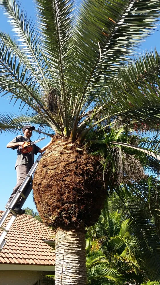 Top-rated garden landscaping for homes in Venice, FL by Lambar Landscape and Lawn Service LLC