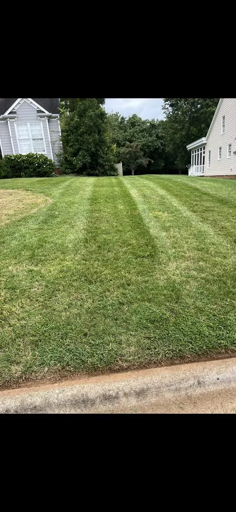 Local yard cleanup service in Greensboro, NC by Lamberg Landscaping