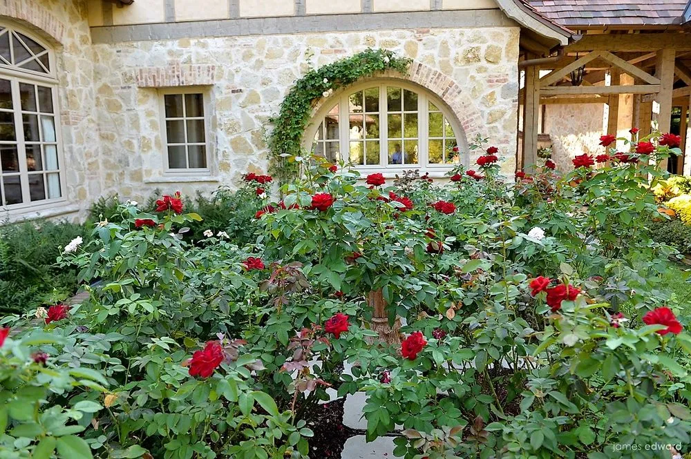 Reliable garden landscaping for year-round maintenance across Dallas, TX - Lambert Landscape Company