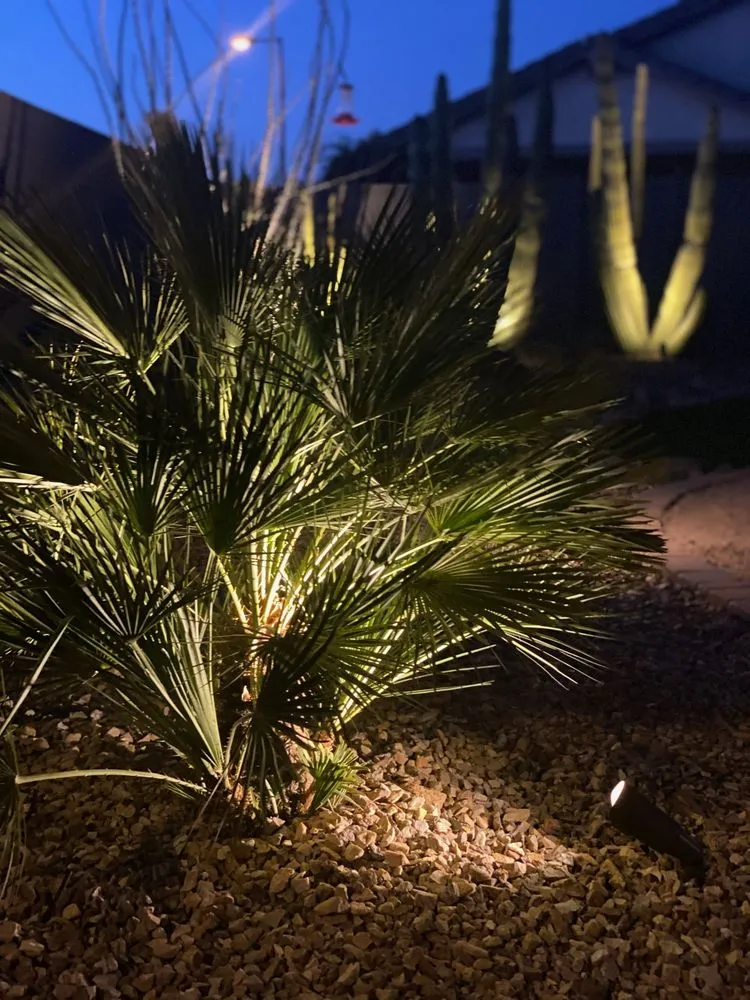 Local landscaping services for homes across Queen Creek, AZ - Lambert Landscape