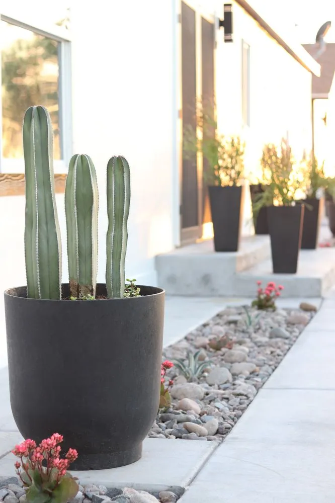 Top-rated landscape installation near you in Queen Creek, AZ by Lambert Landscape
