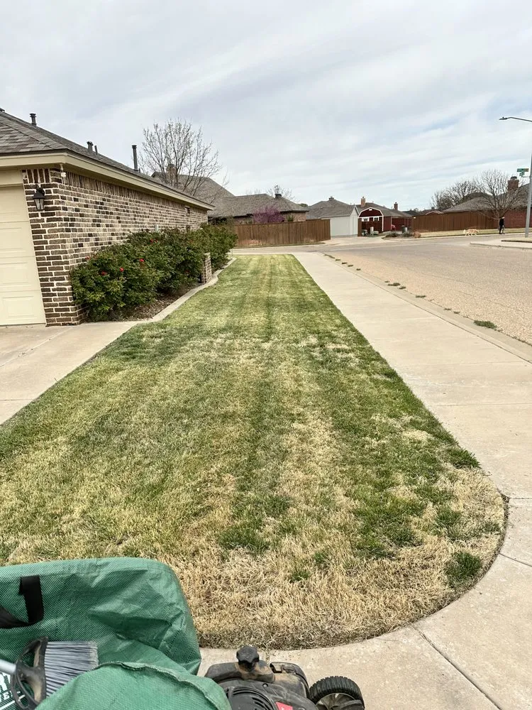 Affordable yard cleanup service in Lubbock, TX by Lambert Lawn Services