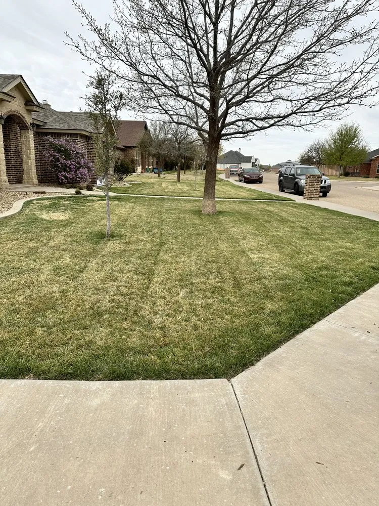 Local yard maintenance for residential properties in Lubbock, TX by Lambert Lawn Services