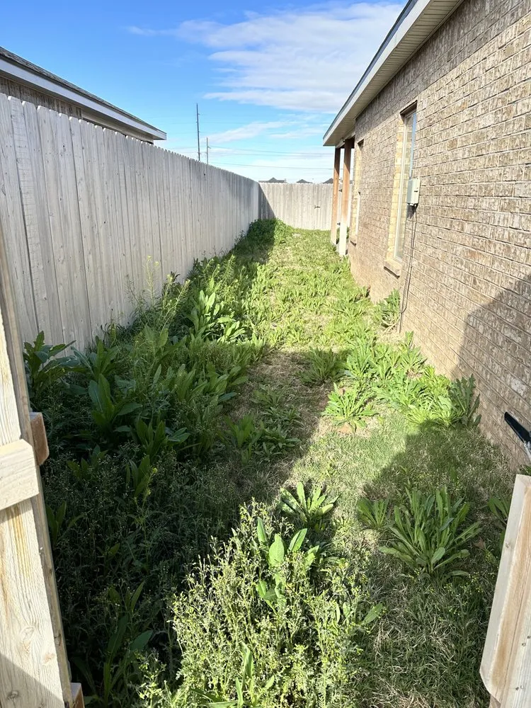 Affordable landscape design in Lubbock, TX by Lambert Lawn Services