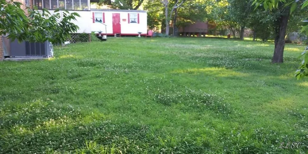 Local landscape design in Hot Springs, AR by Lambert Lawncare and Surface Cleaning