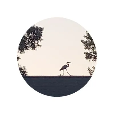 Lambert Outdoor Services Logo