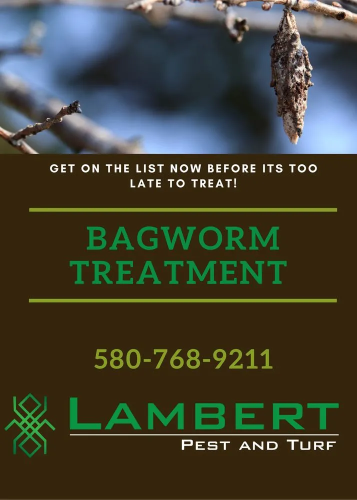 Professional outdoor landscaping experts serving Ardmore, OK - Lambert Pest and Turf