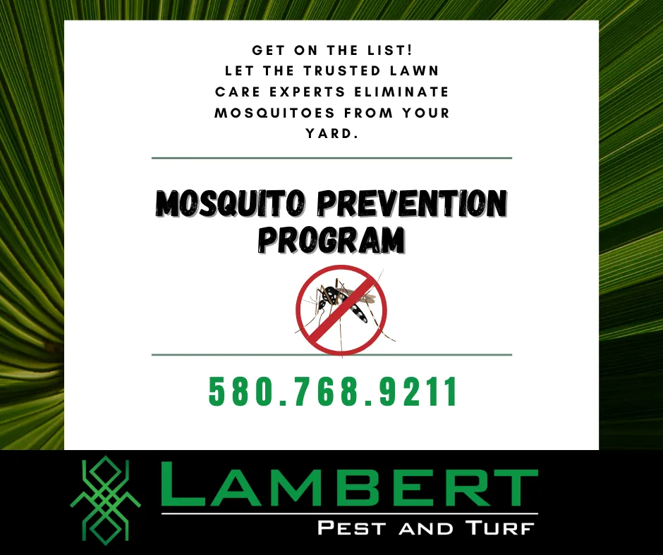 Affordable landscaping services experts serving Ardmore, OK - Lambert Pest and Turf