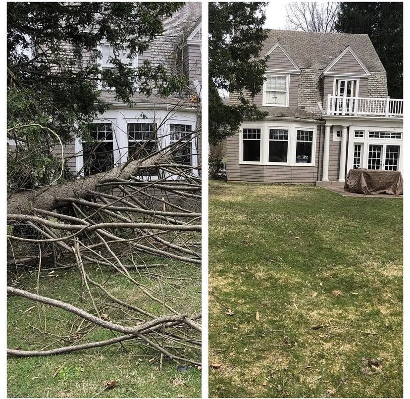 Reliable yard cleanup service experts serving Ambridge, PA - Lamberto's Lawn and tree services