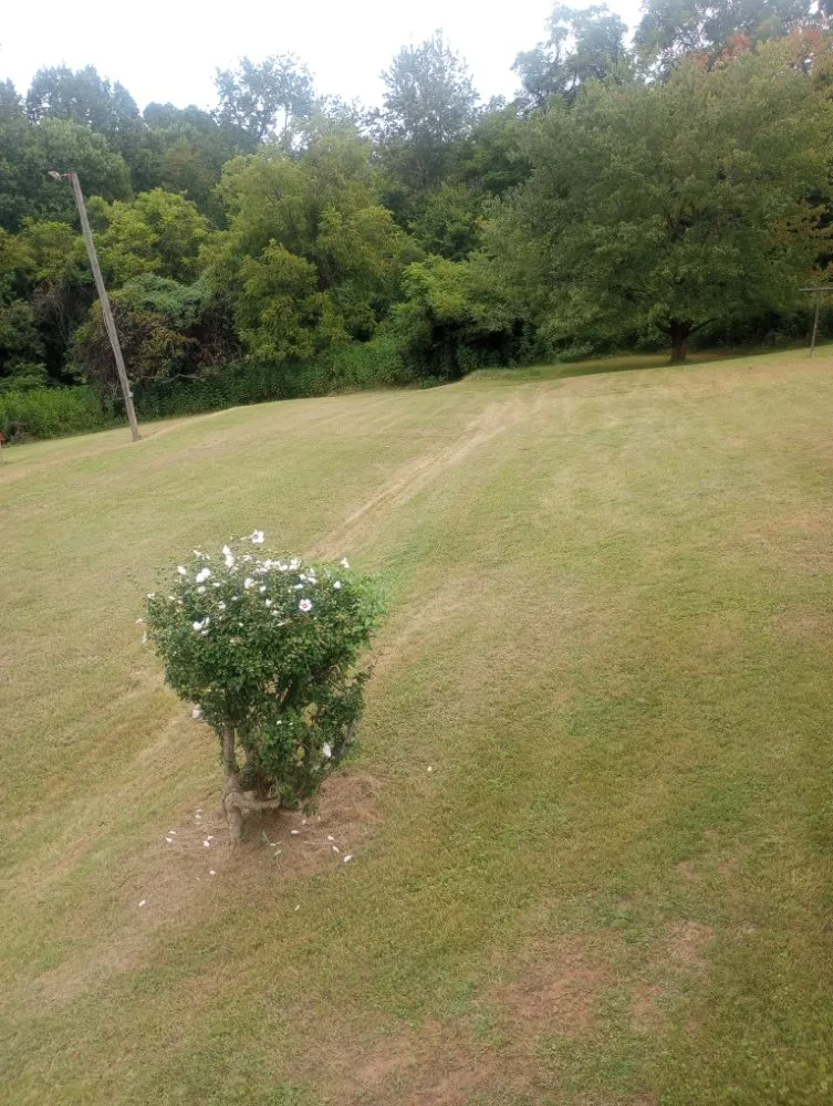 Custom residential landscaping in Lynchburg, VA by Lambert