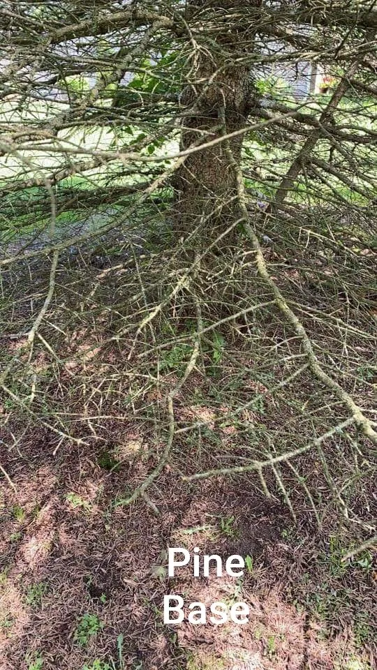 Custom lawn care service for homes across Highland, MI - Lambert's Landscaping & Tree Removal