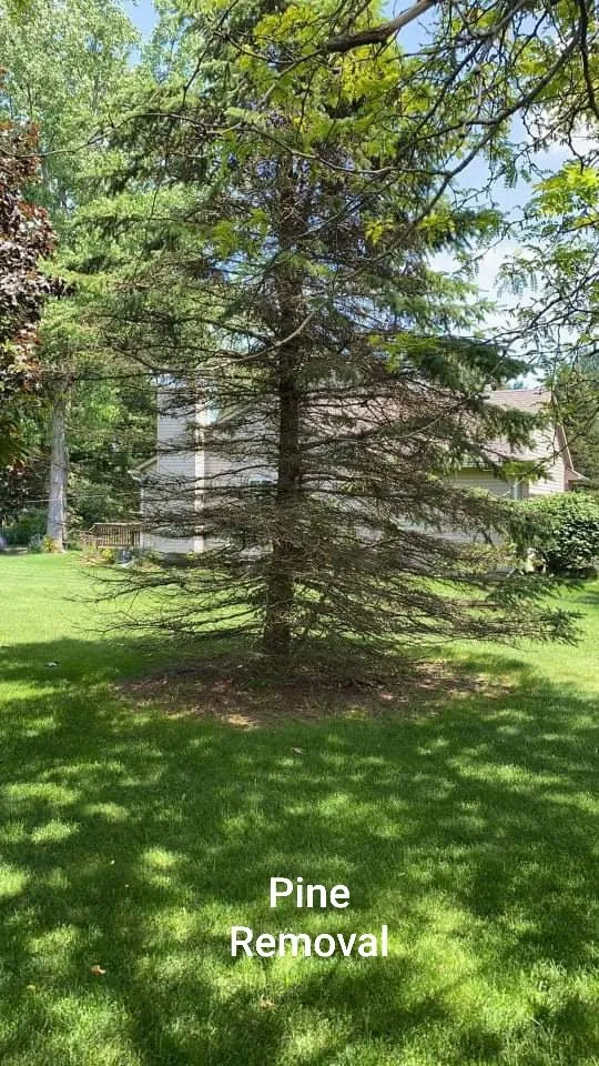 Expert landscape design in Highland, MI by Lambert's Landscaping & Tree Removal