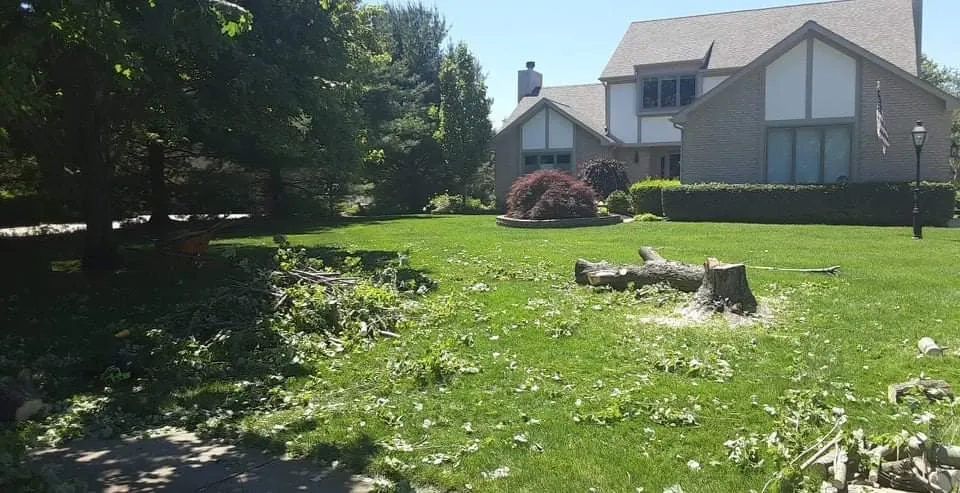 Expert yard cleanup service in Highland, MI by Lambert's Landscaping & Tree Removal